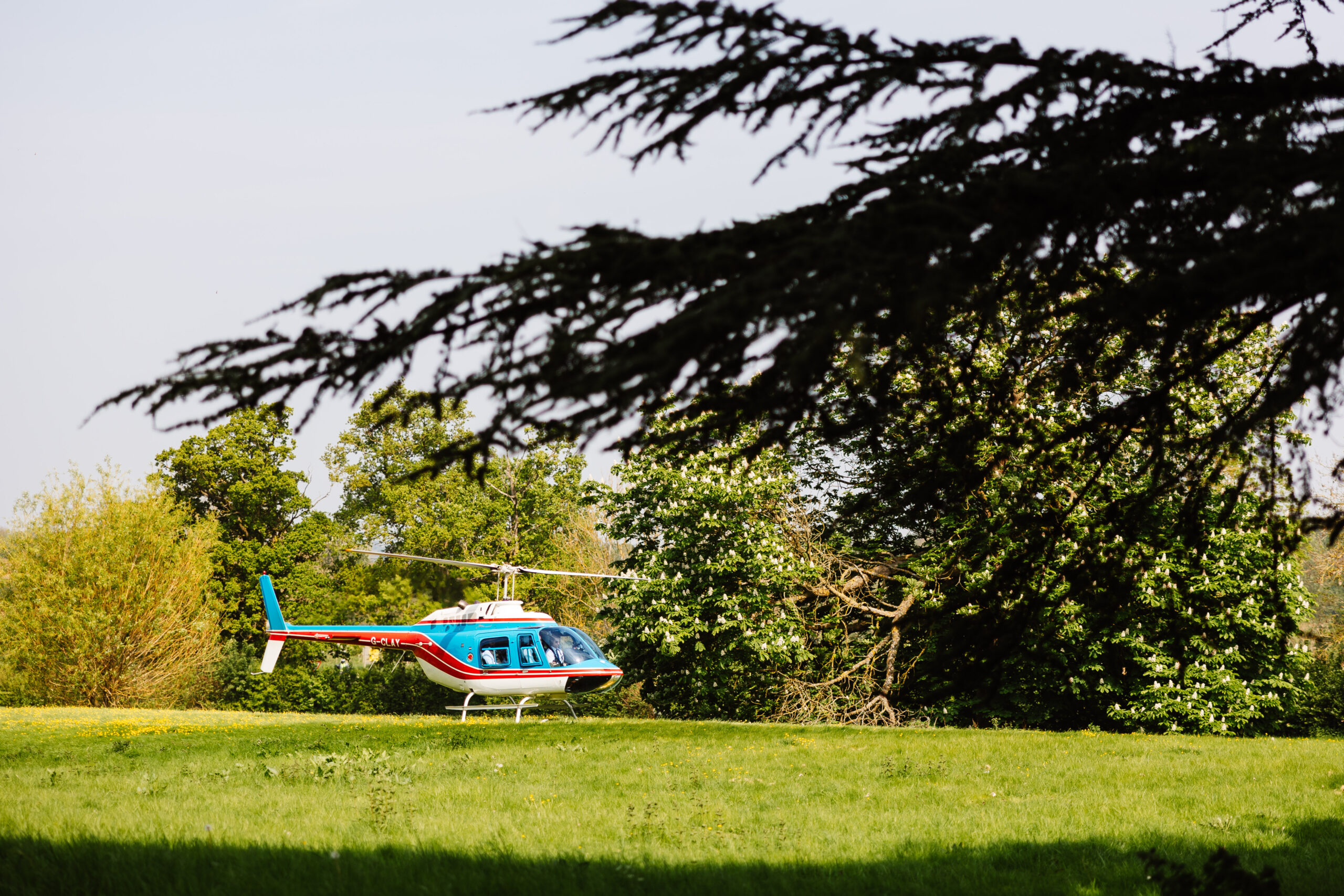 A blue and red helicopter which has landed on a field.