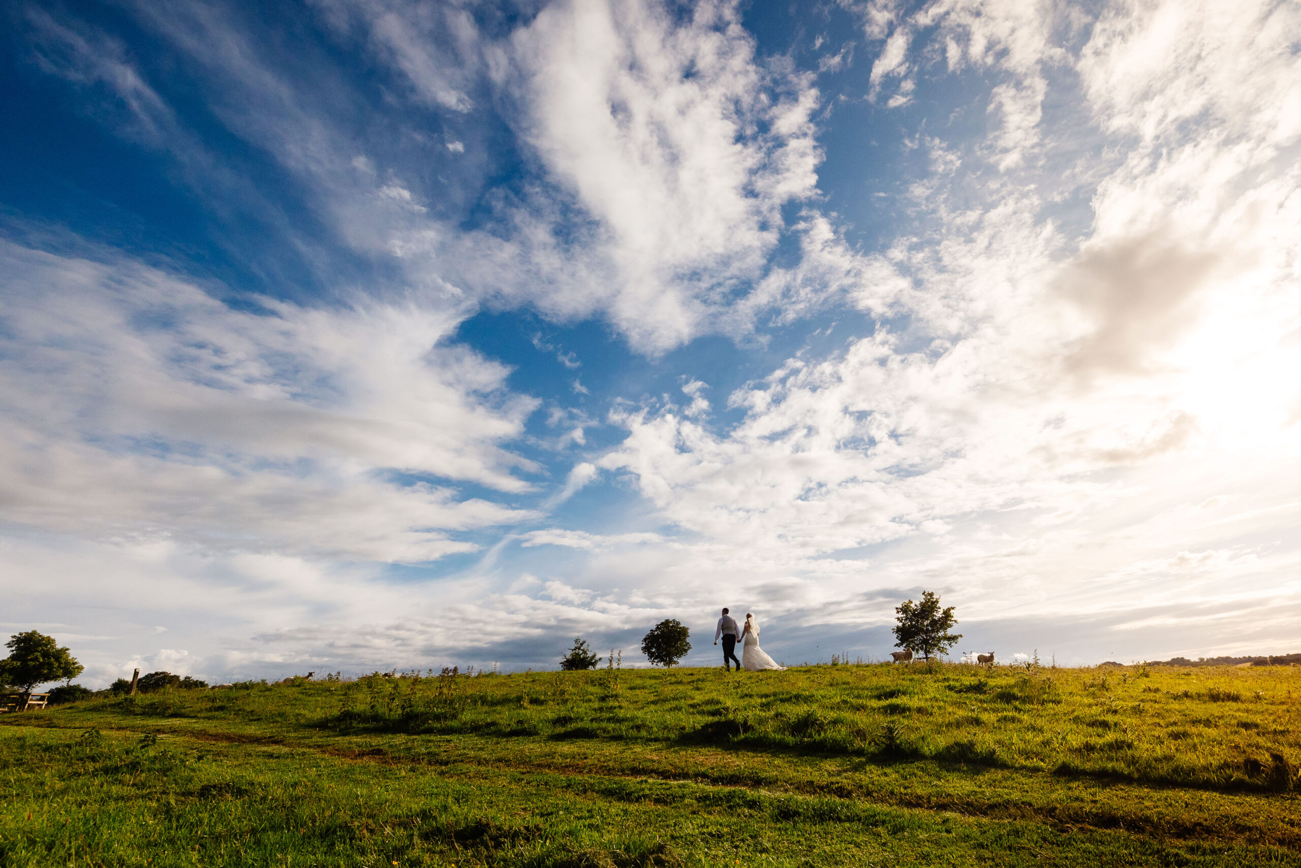 A photo of the bride and groom in the distance. They are surrounded by green fields and you can see the bright blue sky with white clouds.