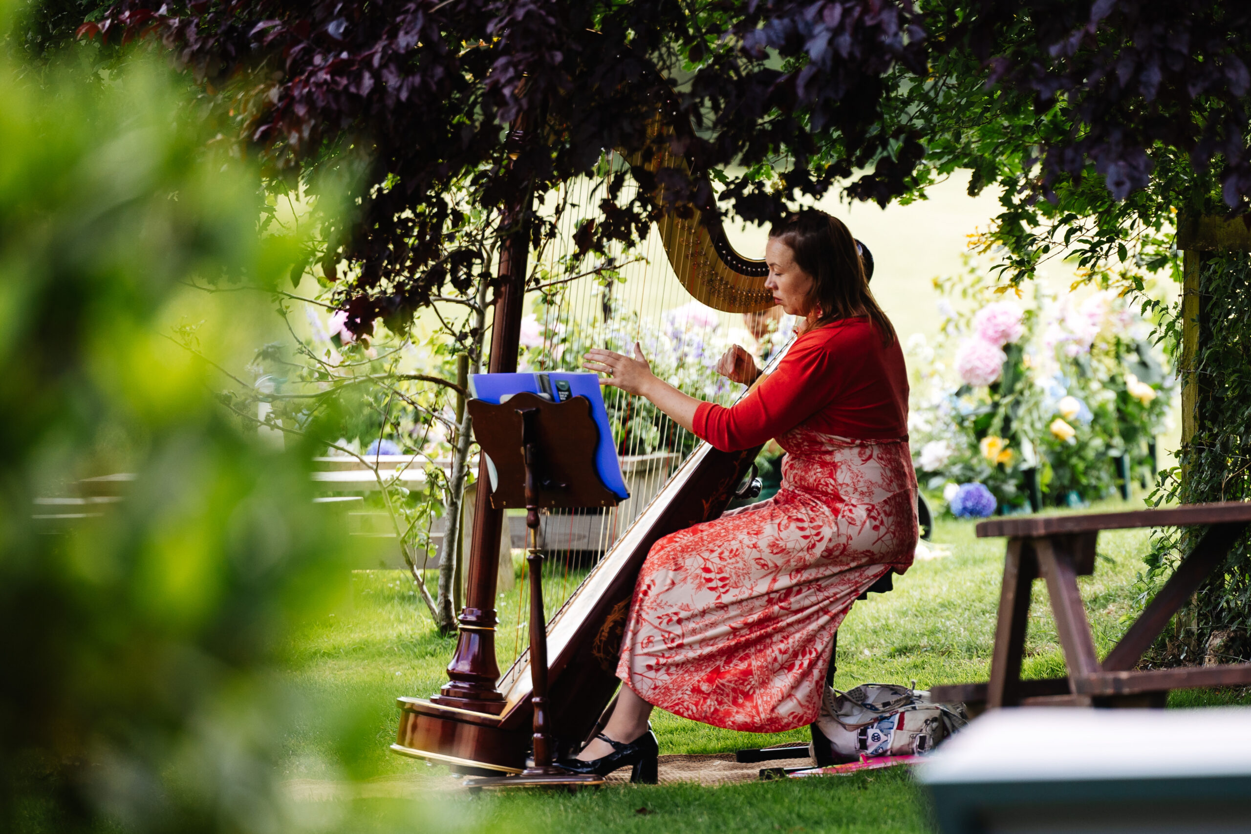 A lady in a red dress playing a harp