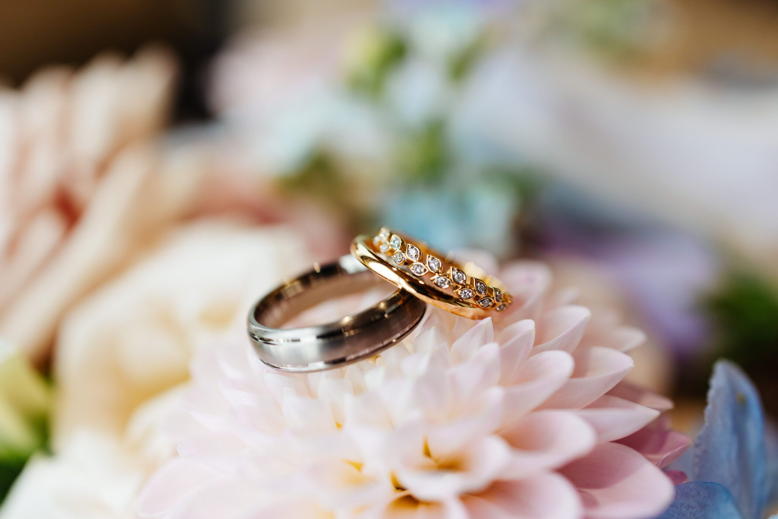 2 wedding bands presented on pale pink dahlias. 