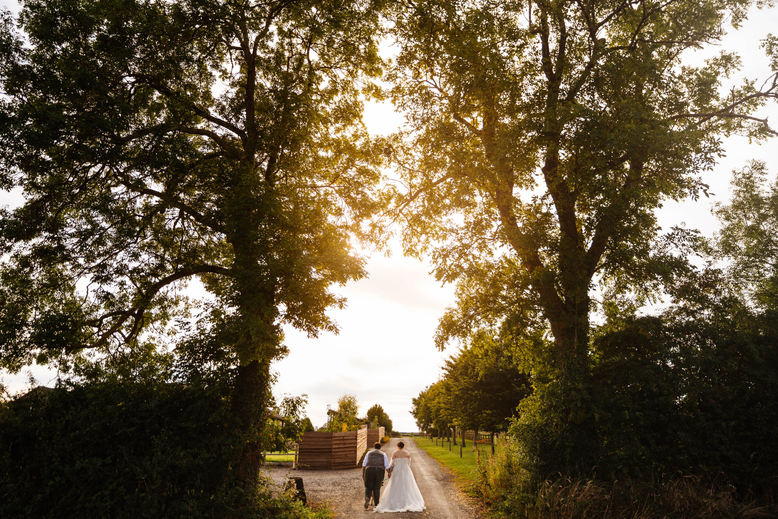 The bride and groom walking away from the camera. You can see the sunlight pouring through the trees. They are holding hands.