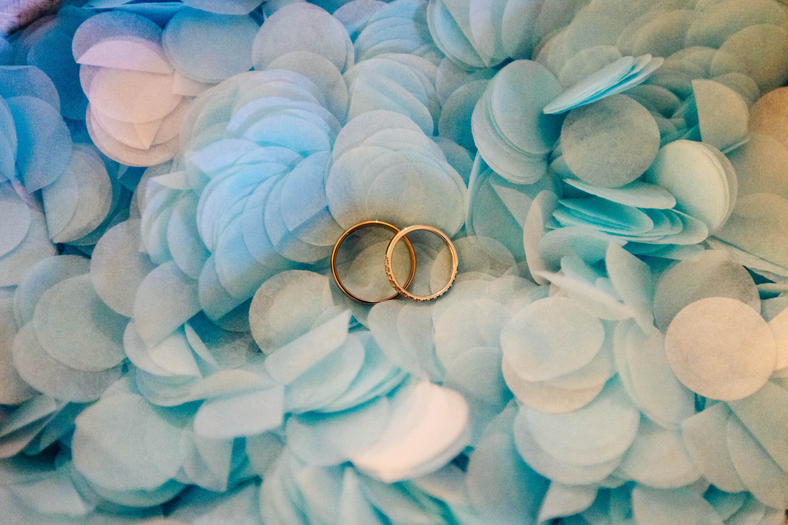 2 gold rings on a bed of pale blue confetti.