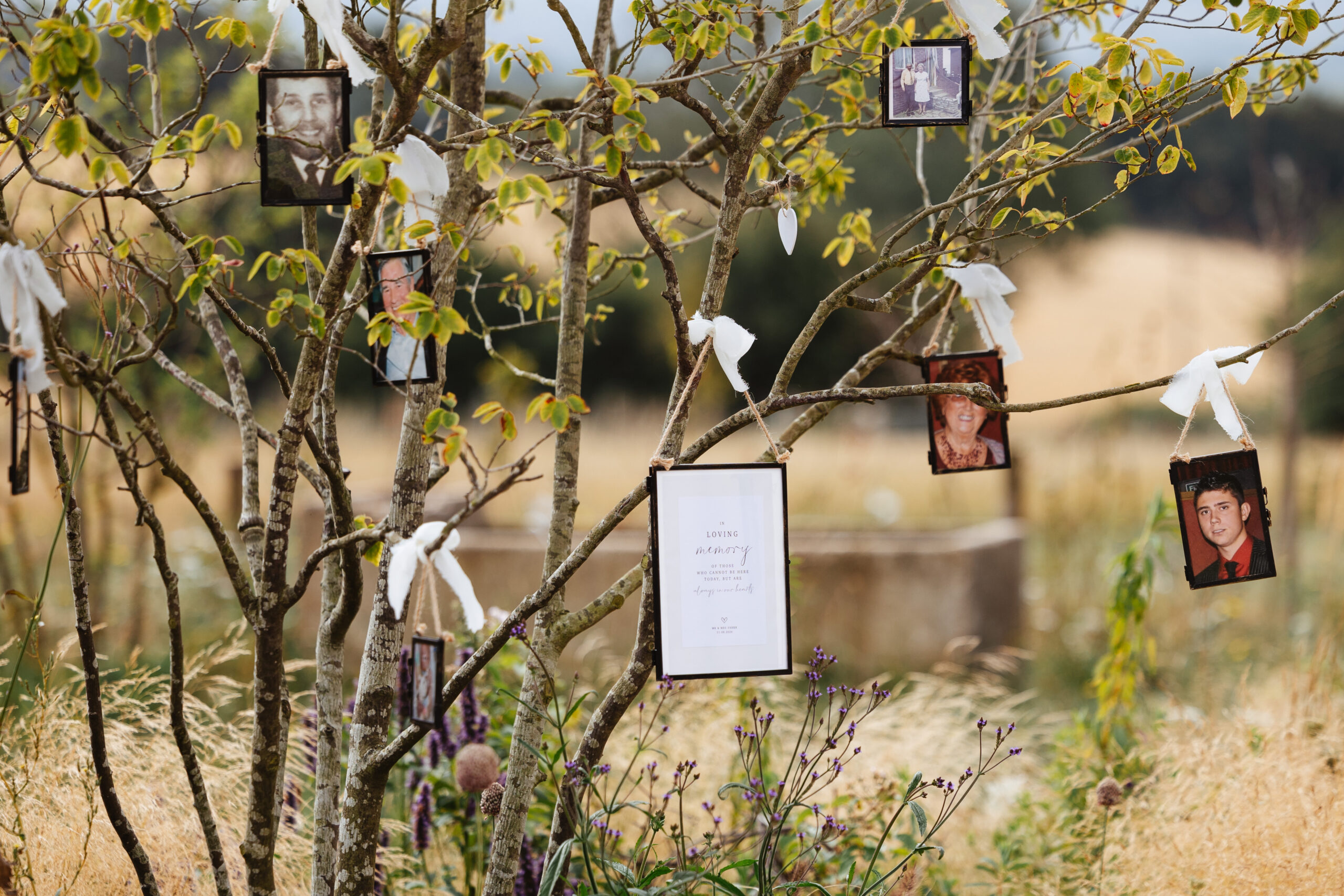 Lots of different sized photo frames hanging from branches of the tree. There is a large sign that says In Loving Memory.