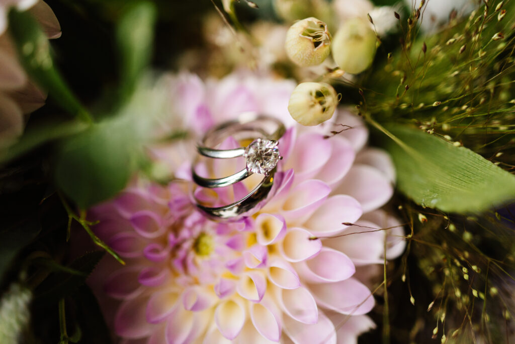 Pink dahlia with three silver rings sat upon it. There are two wedding rings and a diamond engagement ring 